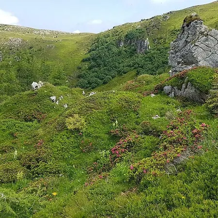 Alba Montis バド クラインキルヒハイム