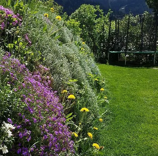 Apartment Alba Montis