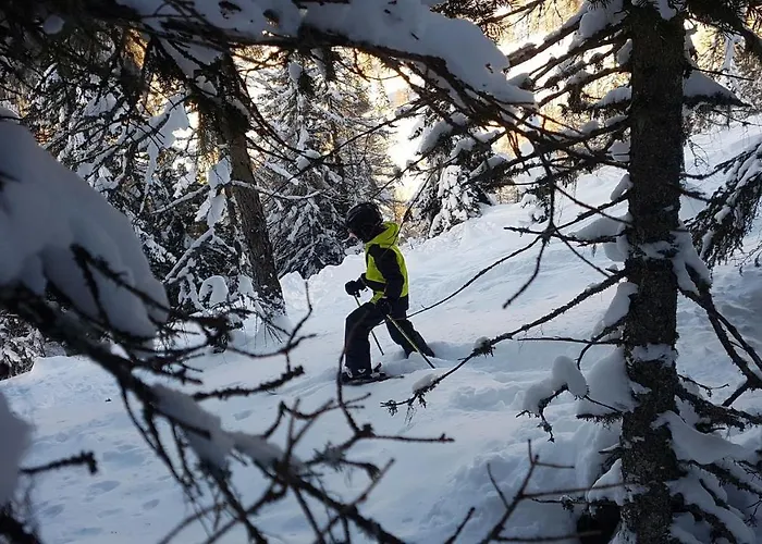 Lägenhet Alba Montis *