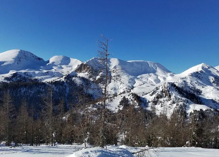 Apartment Alba Montis Bad Kleinkirchheim