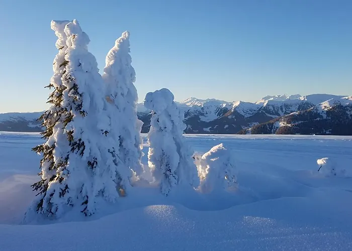 Alba Montis Lägenhet *
