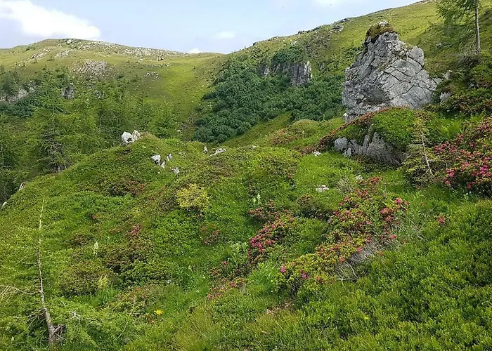 Alba Montis Bad Kleinkirchheim