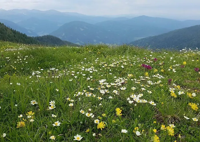 Alba Montis Lägenhet *